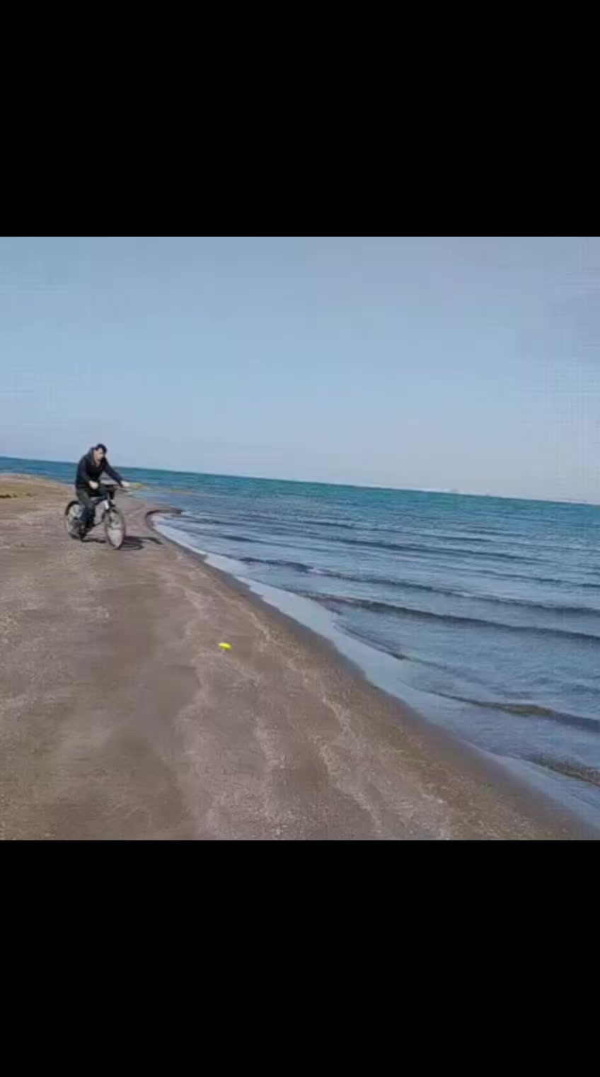 @ELXAN 531