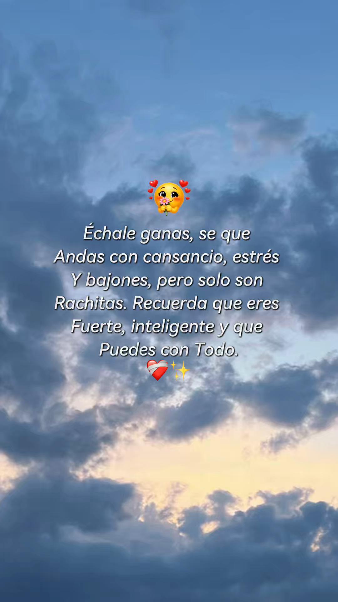 @sindyflores730