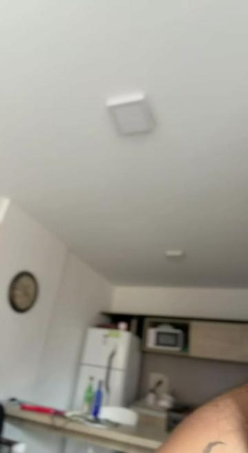 @igcamilaprieto