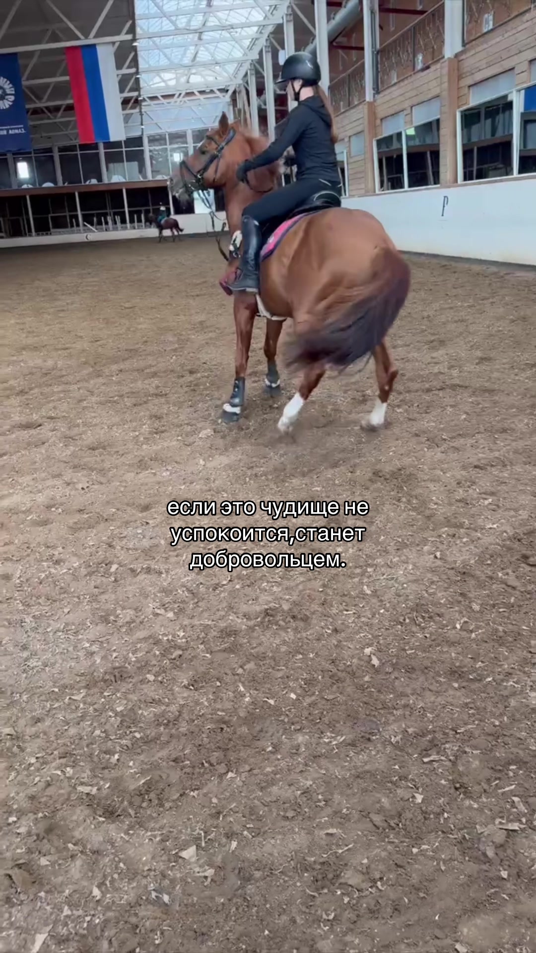 @Tгк:Margarita equestrian