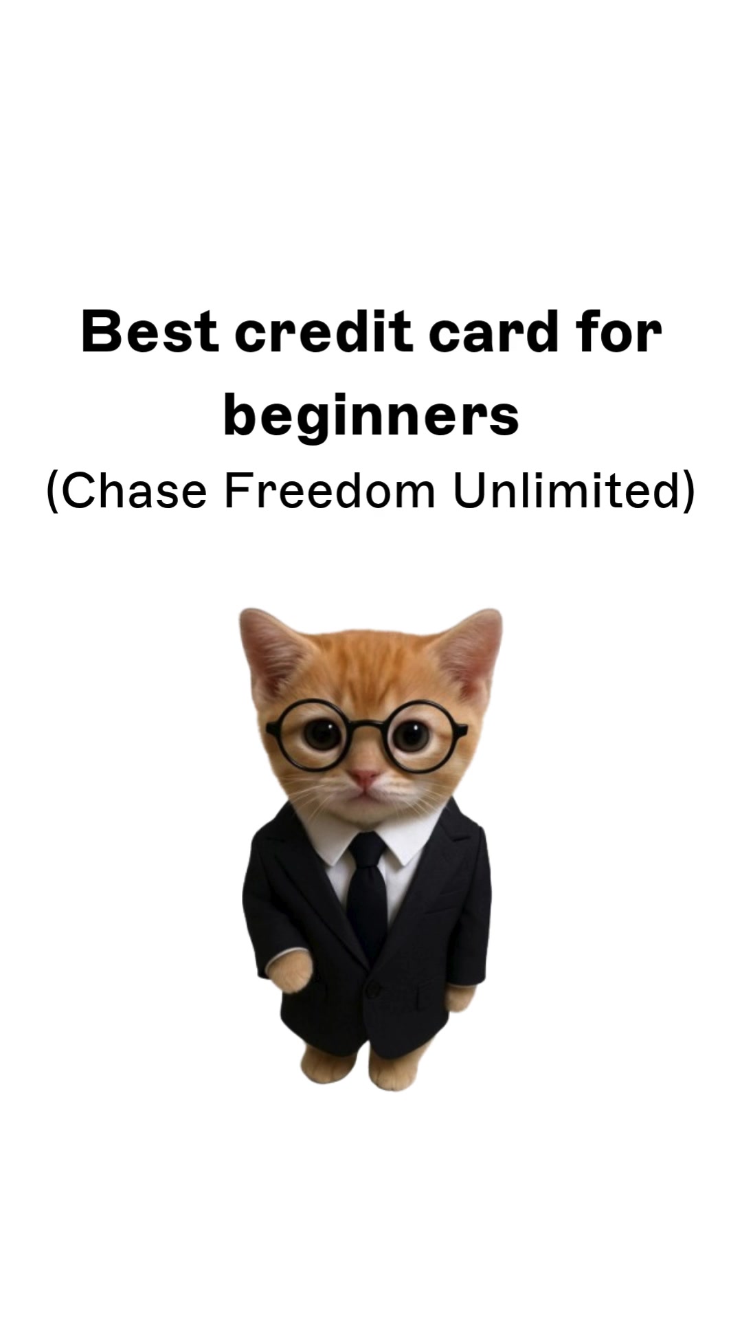 @wallstreetkitty