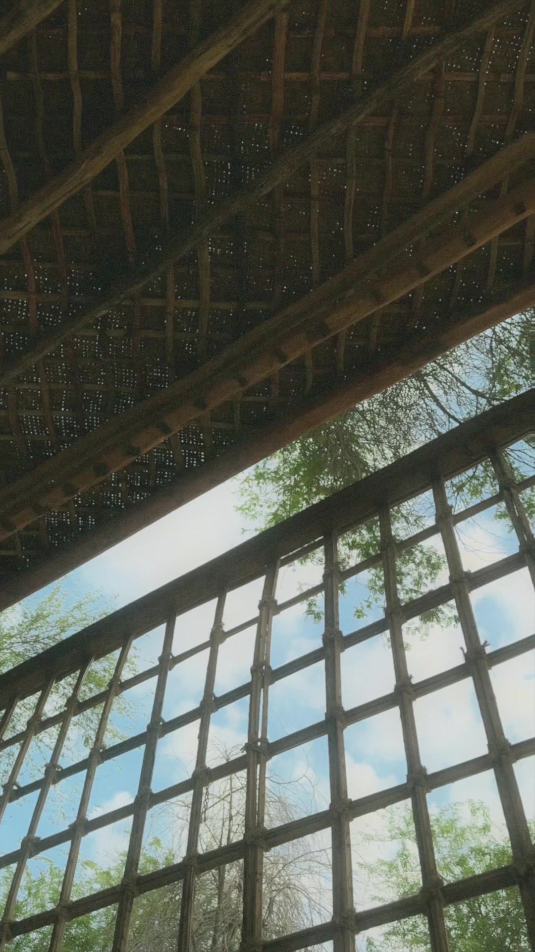 @WALAA 🌾