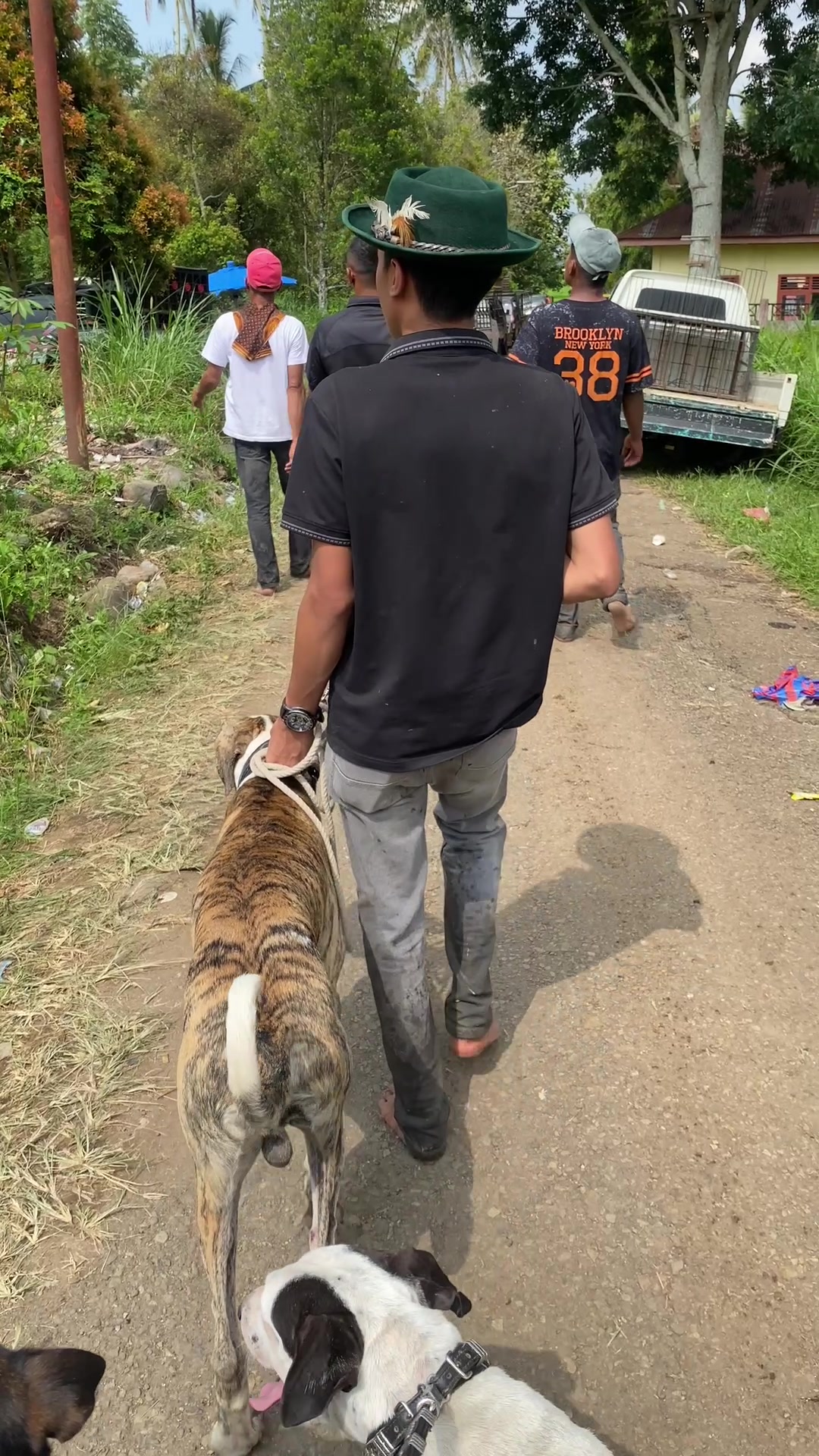 @vinn