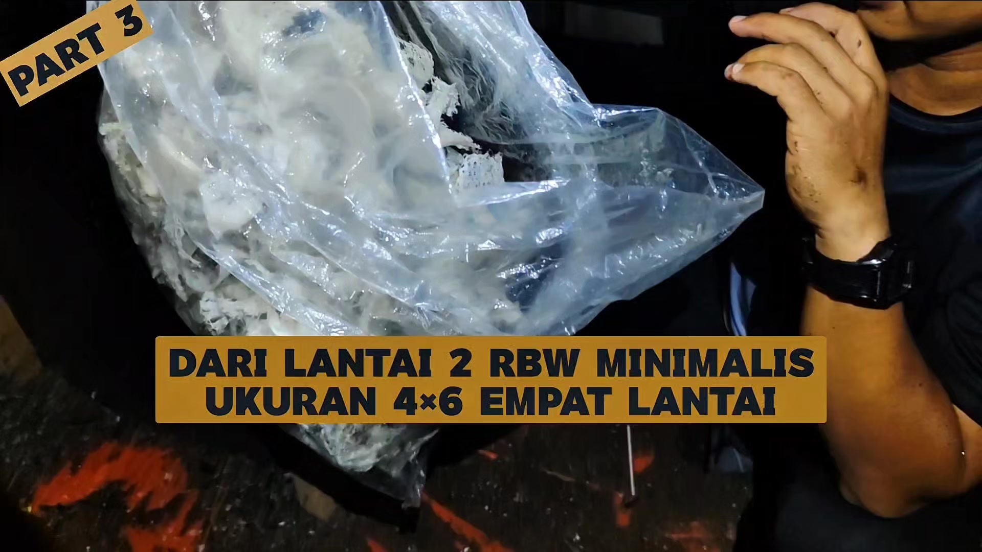 @Walet Rimba Kalimantan