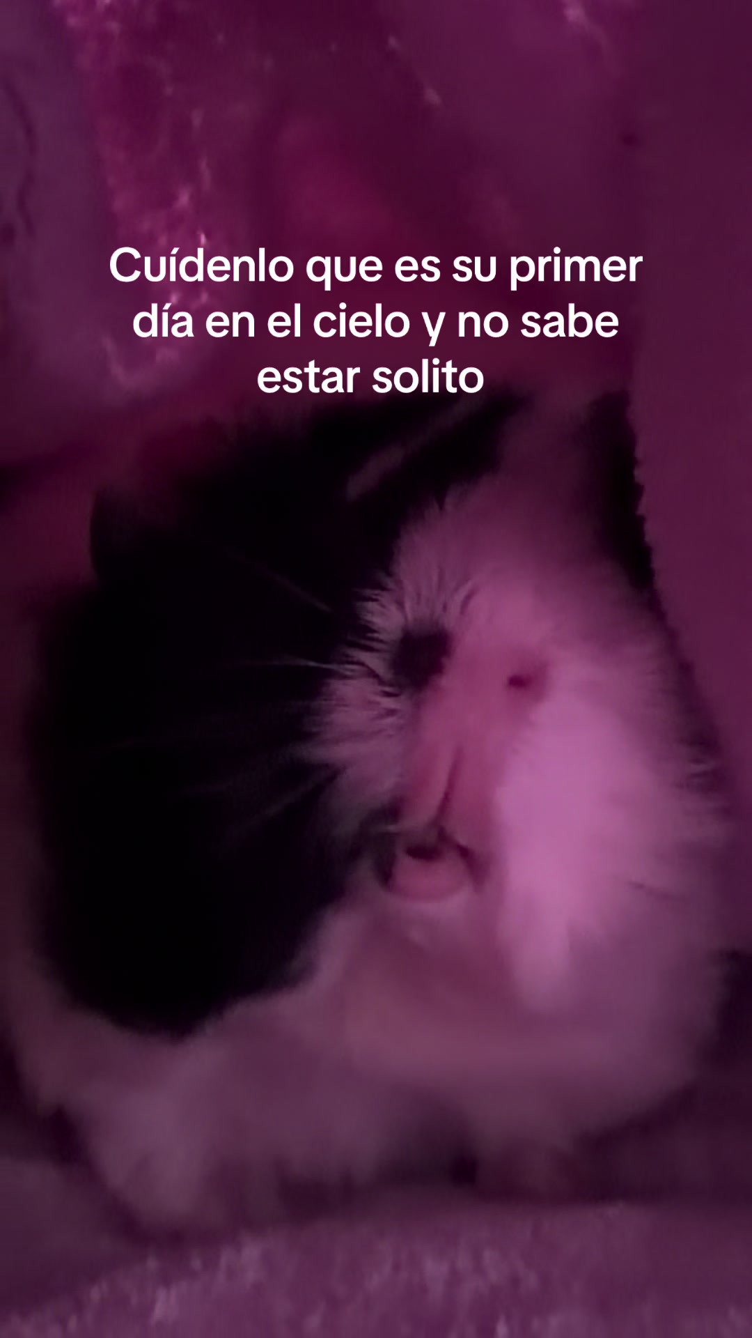 @Amanditititita