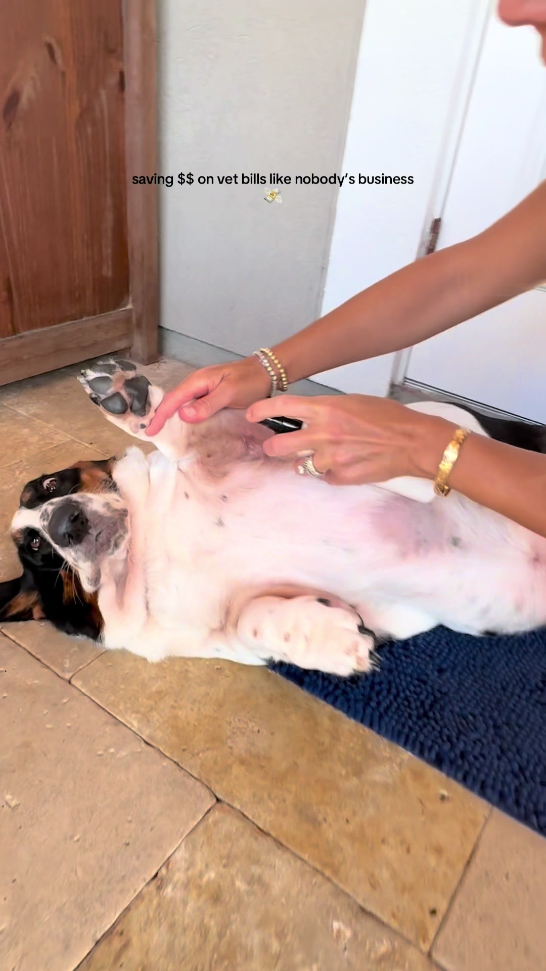 @🐾BillieBasset🐾