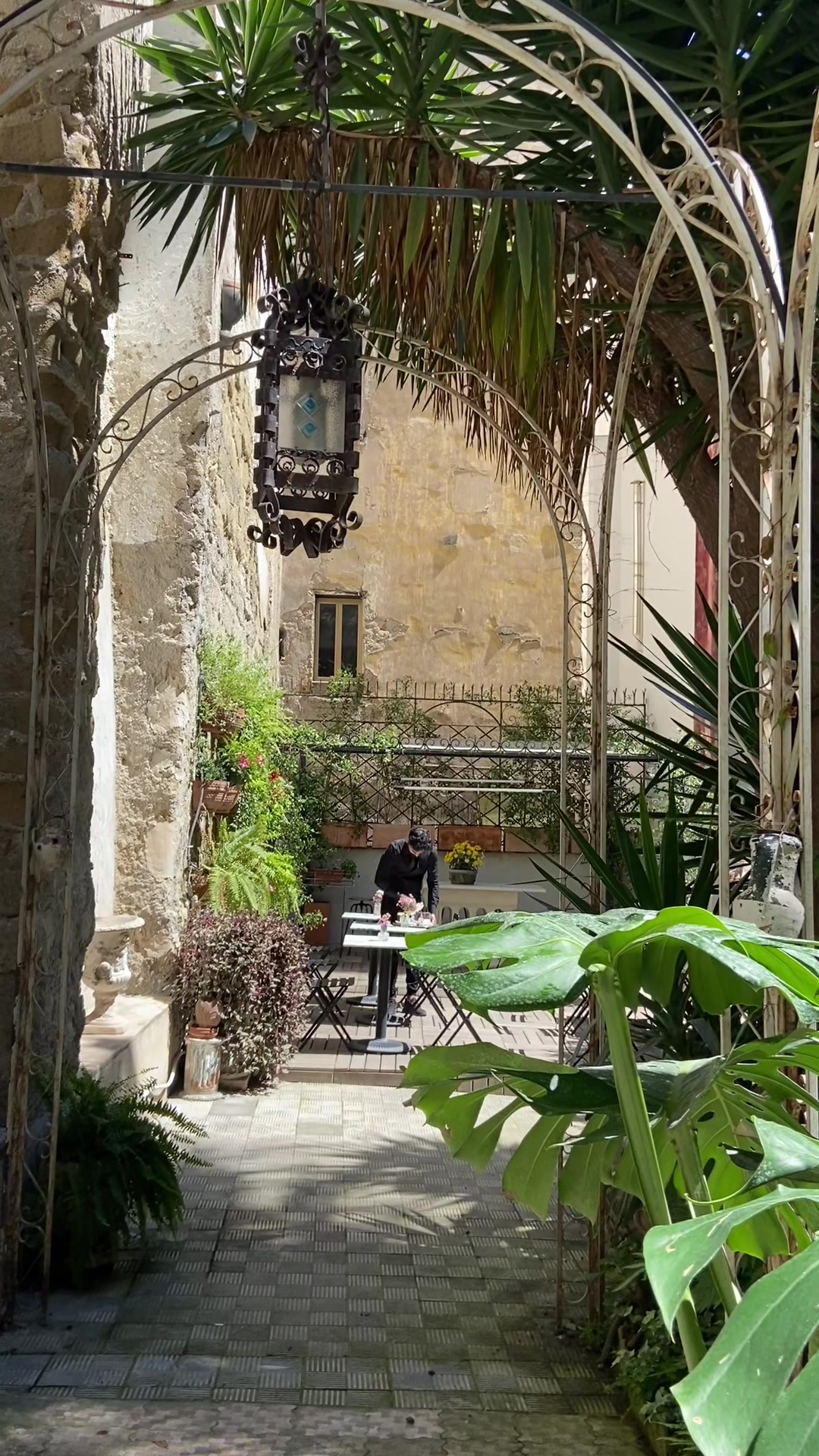 @Artemisia Domus Giardino
