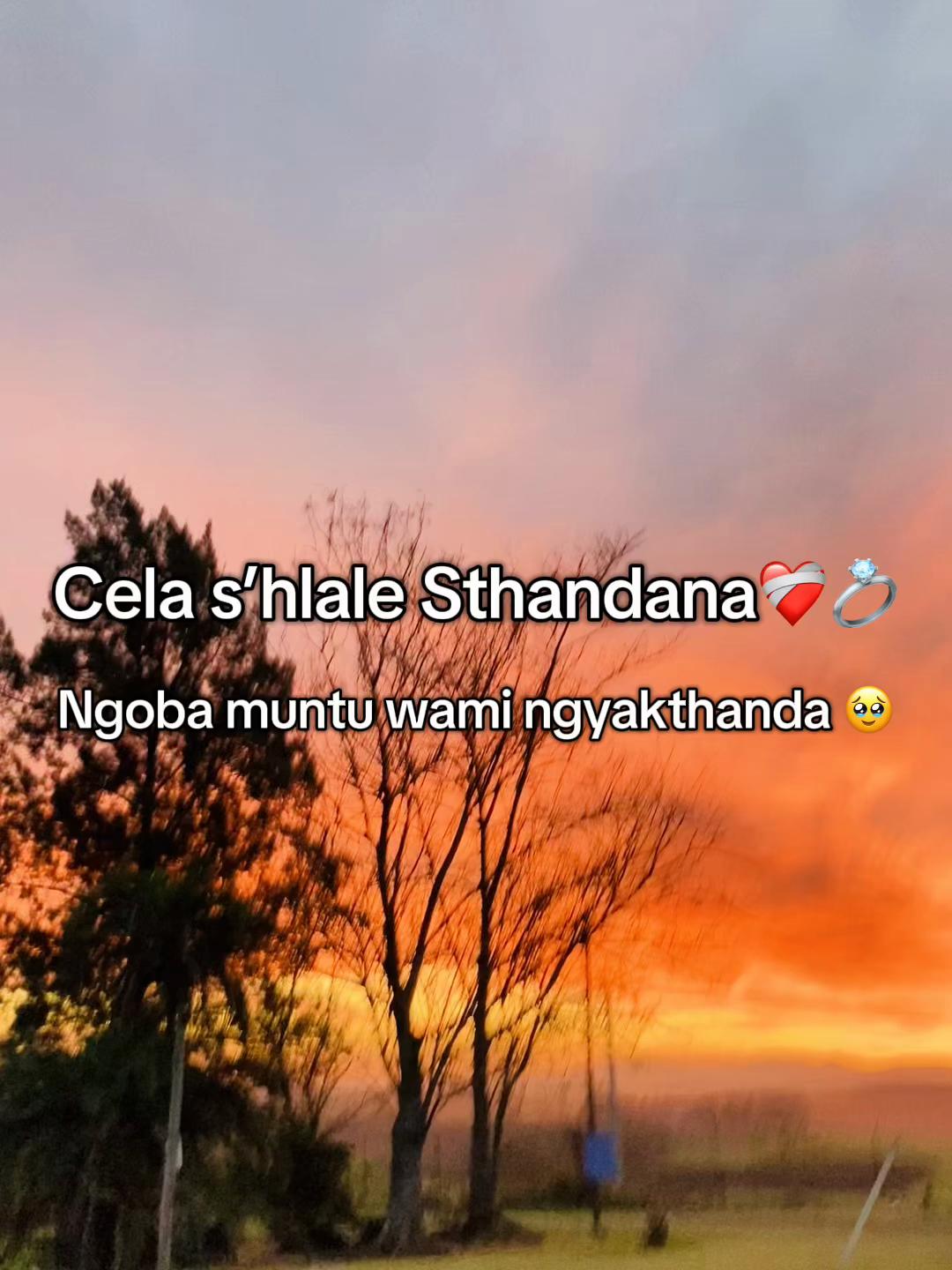 @️icala_lomzali