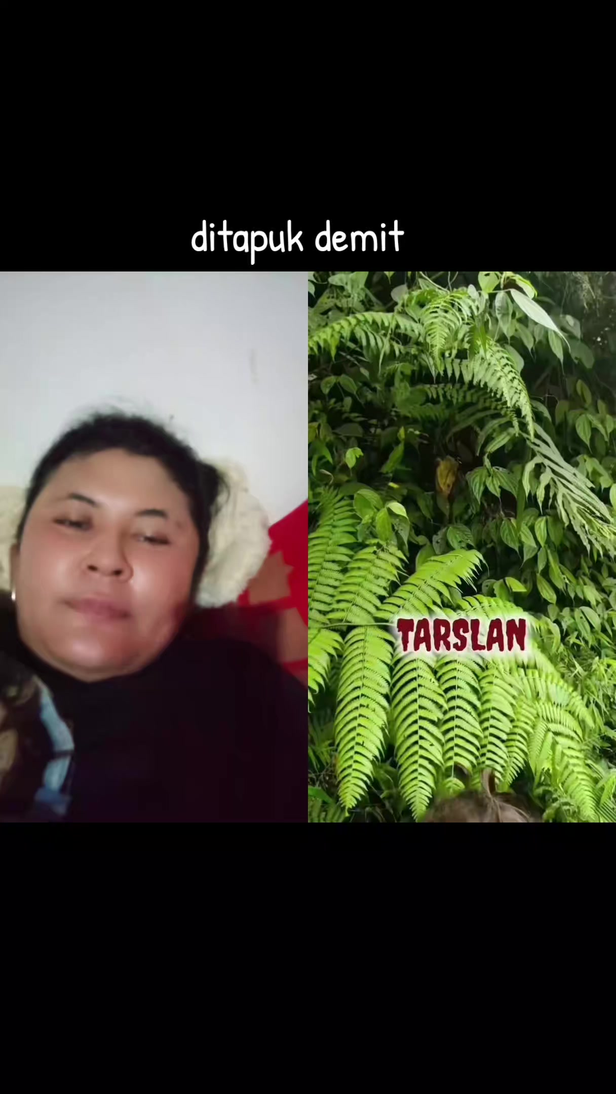 @🧚🆗🌹 DARMINYOCOT 🧚🆗🌹