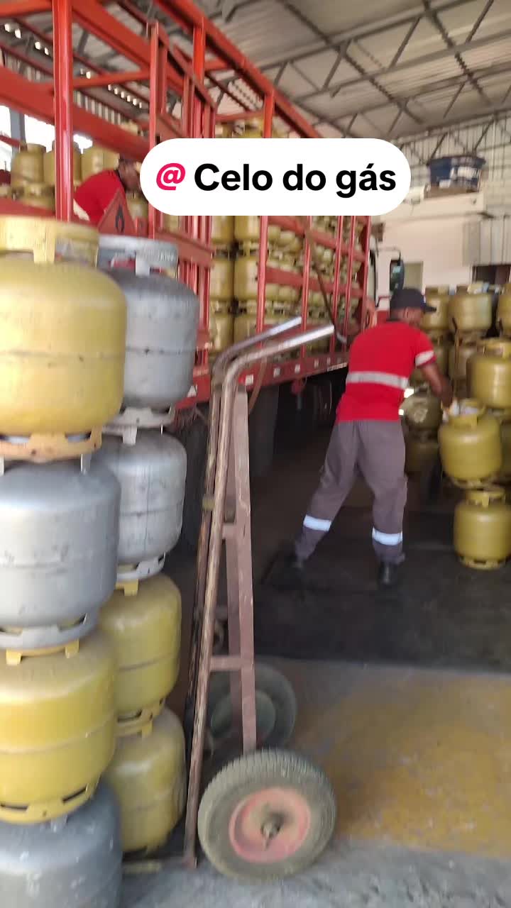 @celodog&aacute;s