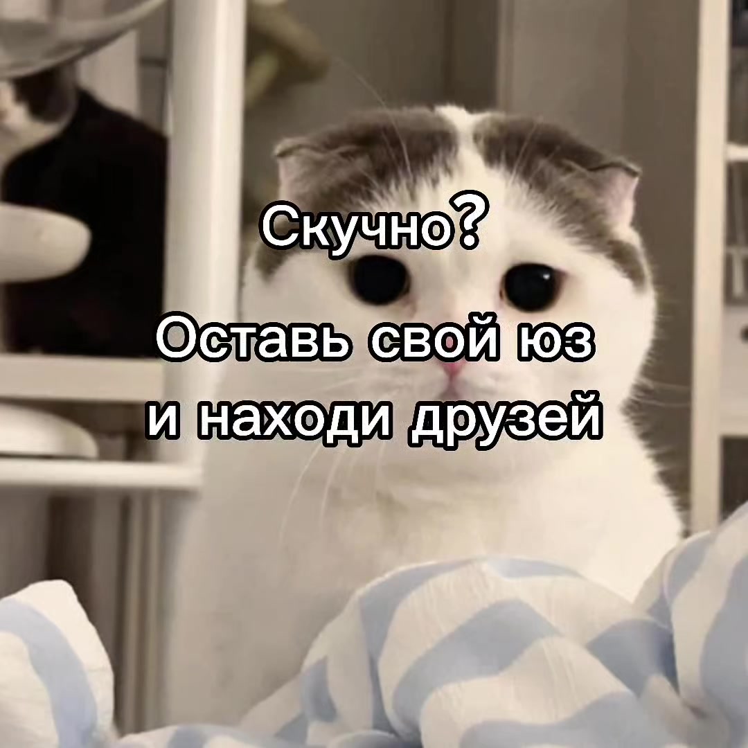 @mivrac