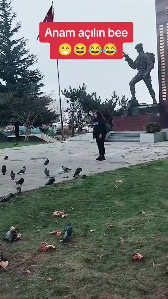 @67sevdam67