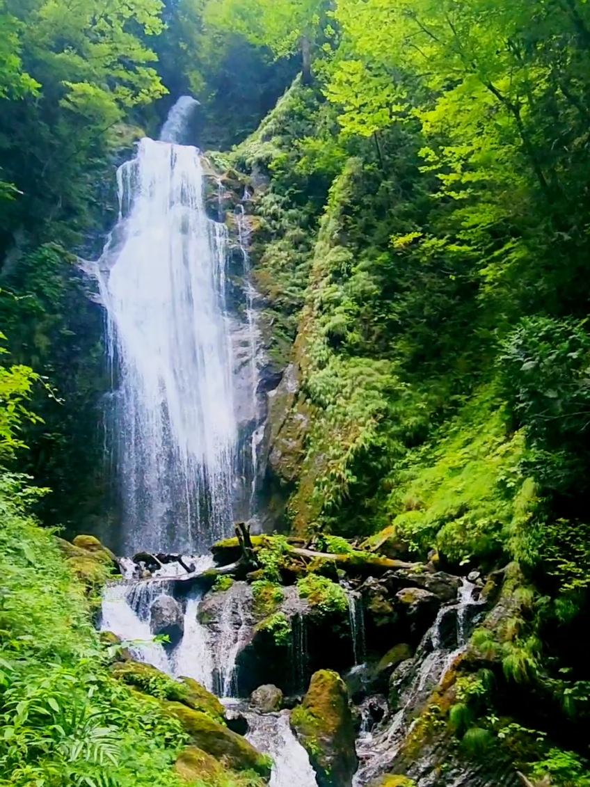 @ばっしー　東北を旅する人