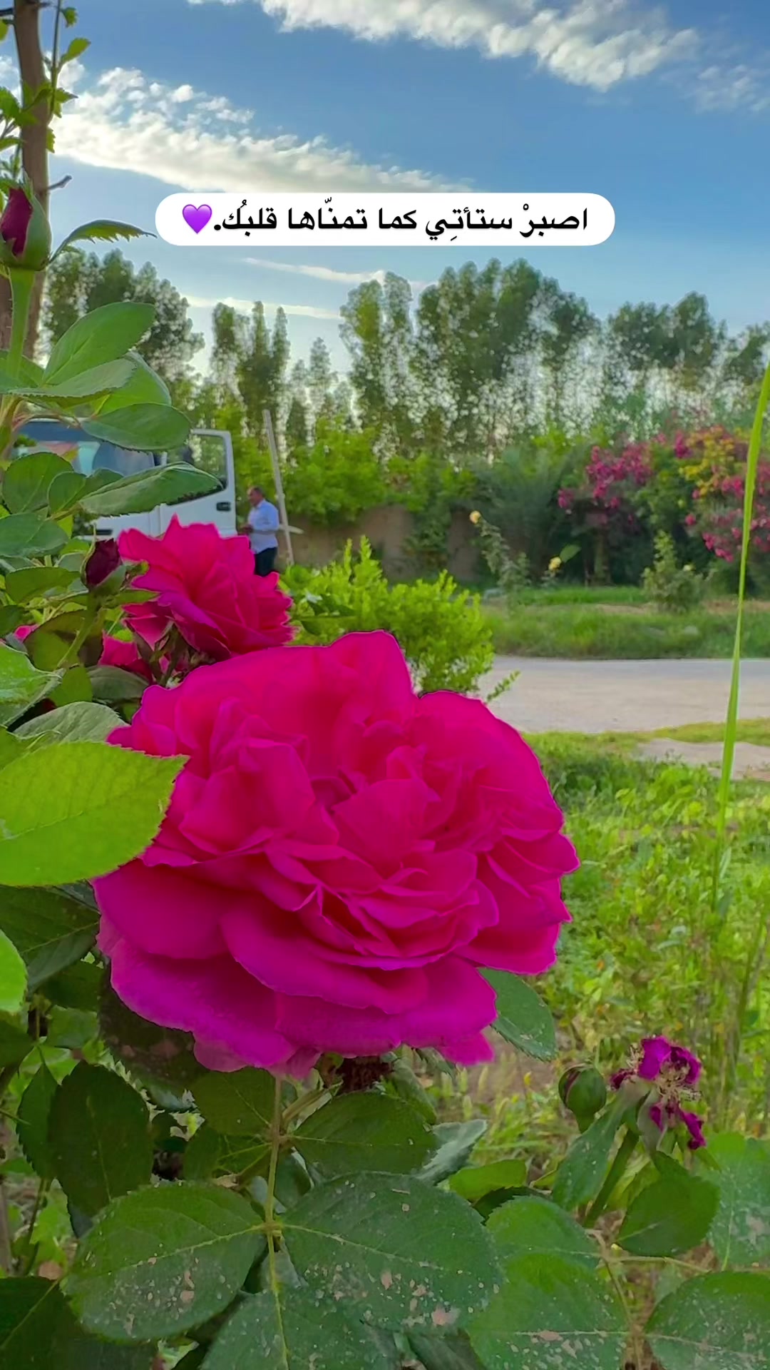 @علاوي