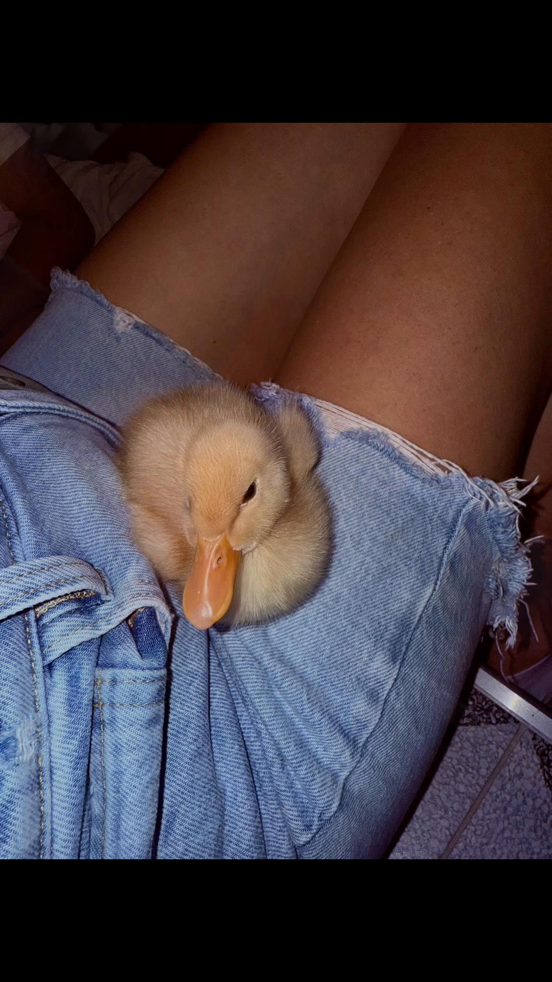 @alionatipa