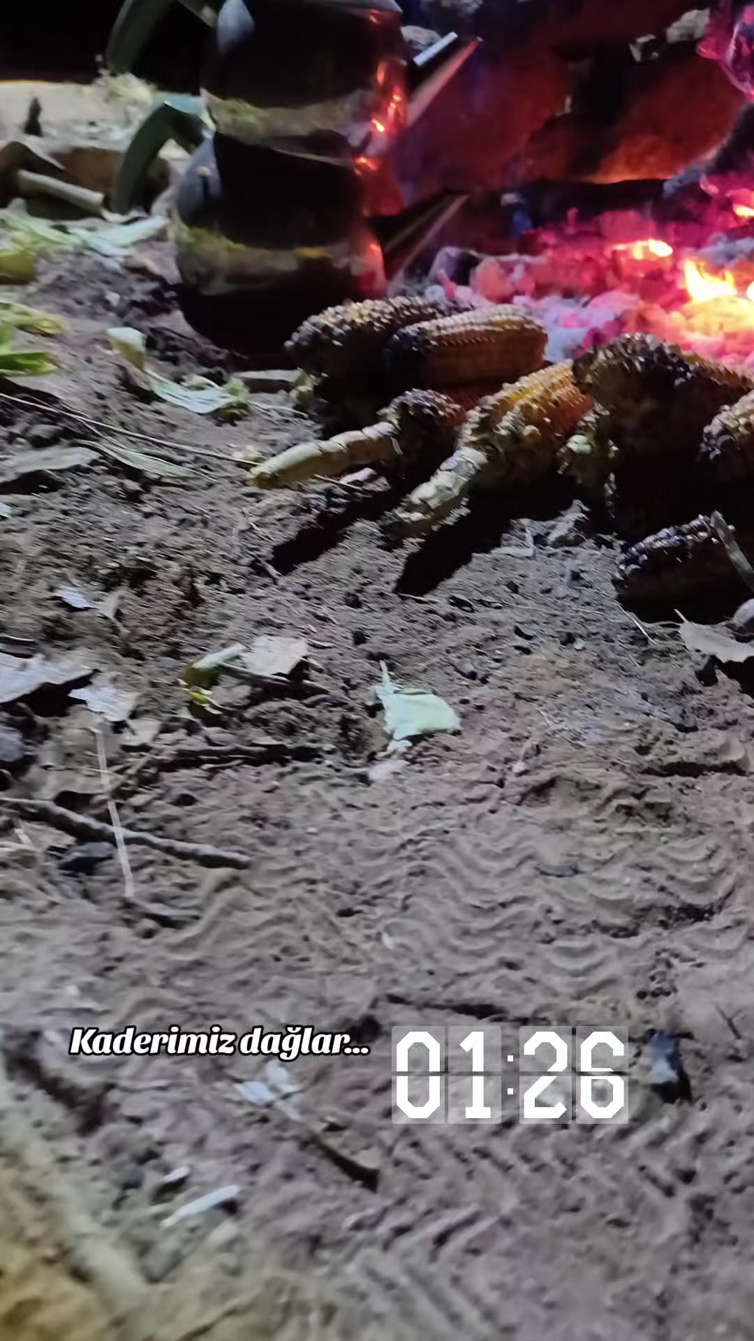 @🍁DOĞA ADAMI🍁