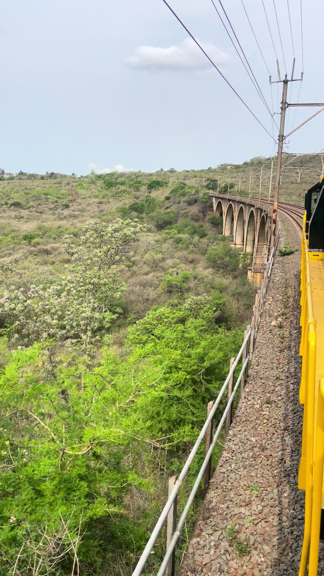 @Josuasmit7🇿🇦