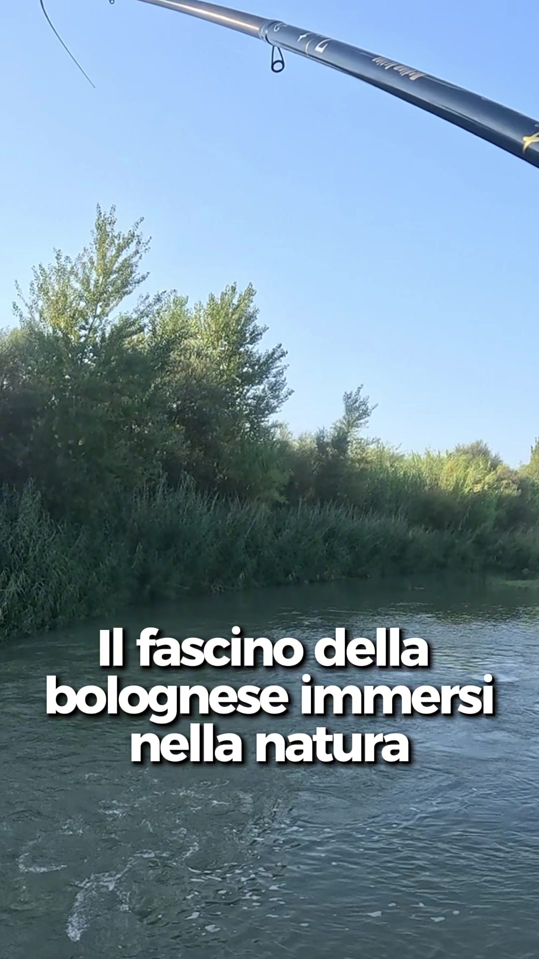 @Luca Meola