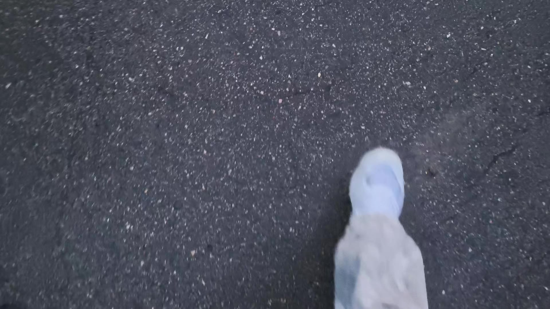 @Y0k1
