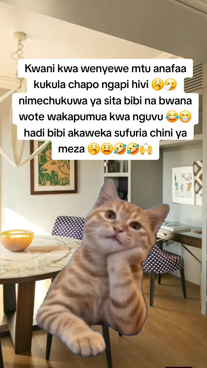 @Miss Vibez ๐ค๐๐