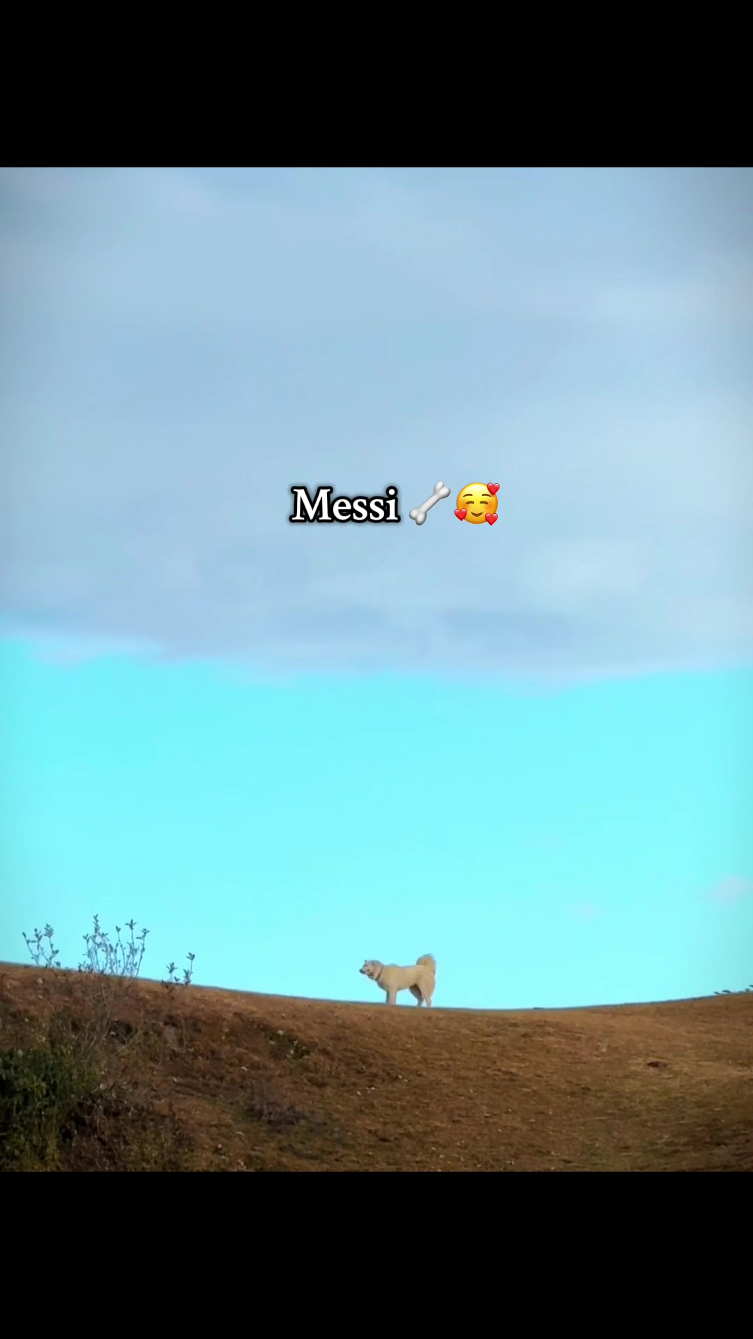 @️