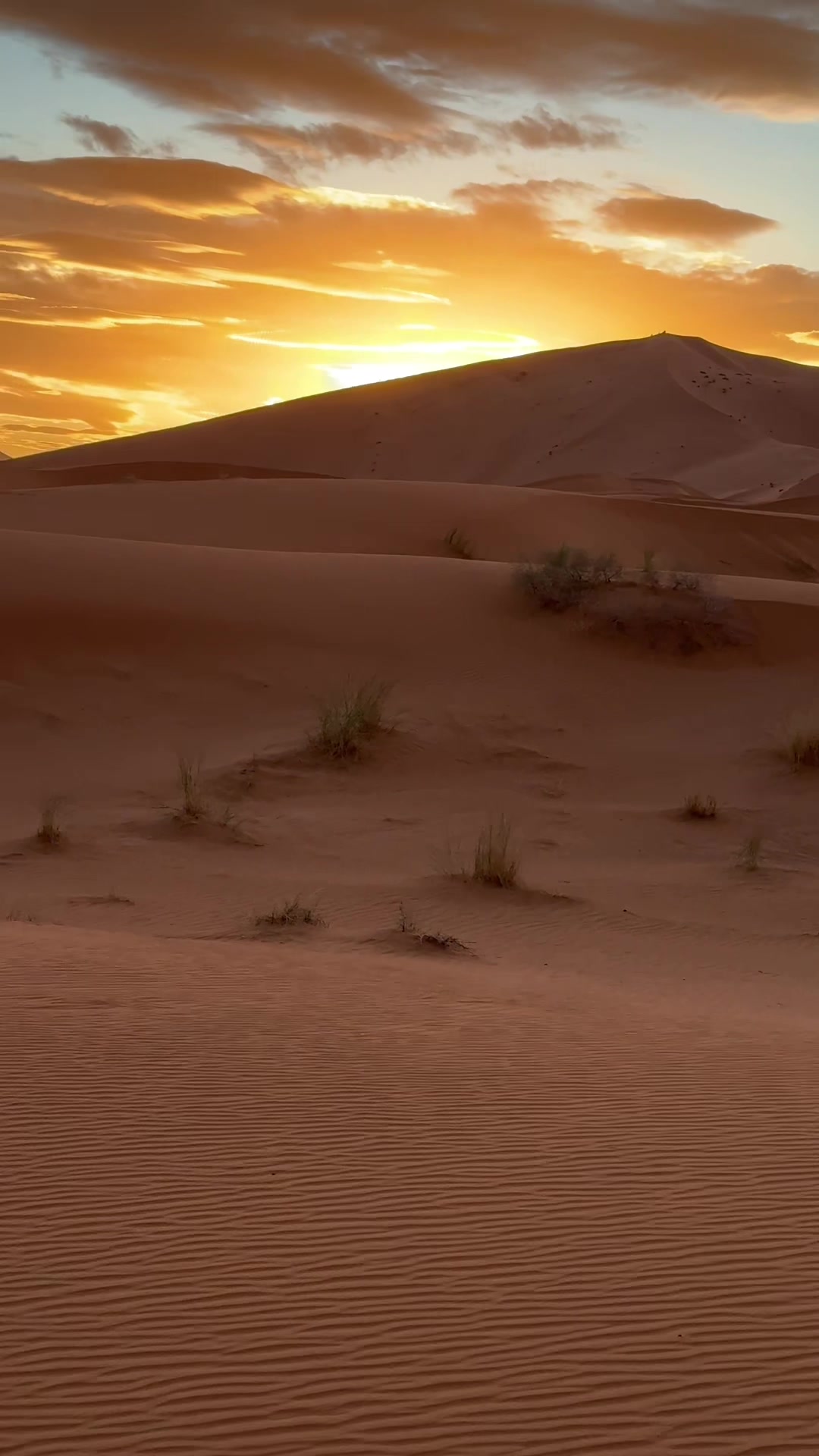 @Merzouga Globe 🌎