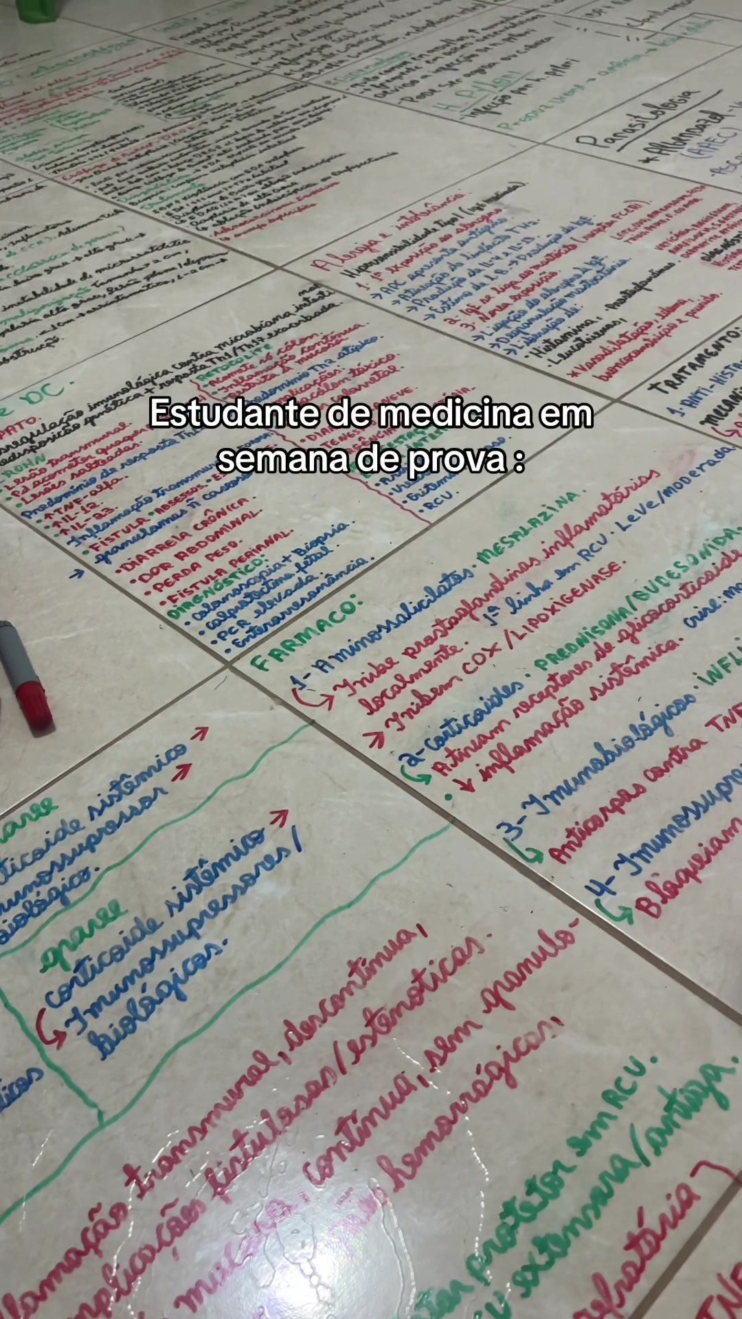 @Maria Eduarda F C