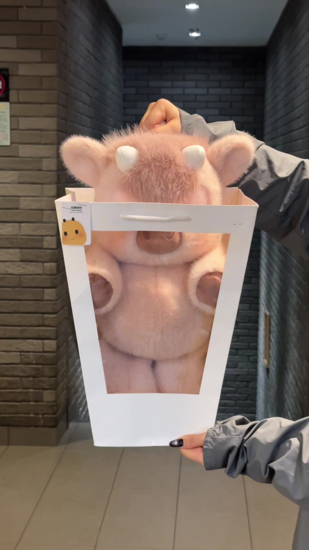 @Cubforest