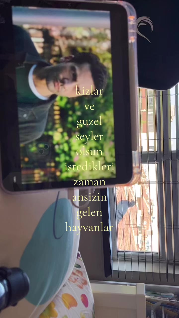 @zey⋆☆