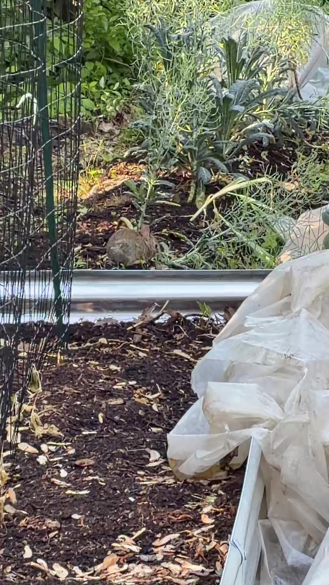 @gobigadventuresfarm