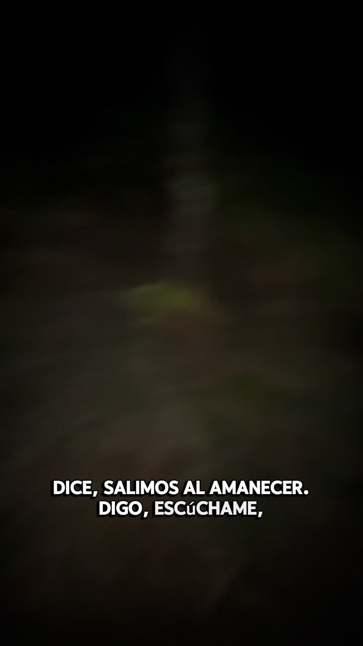 @tom🦖