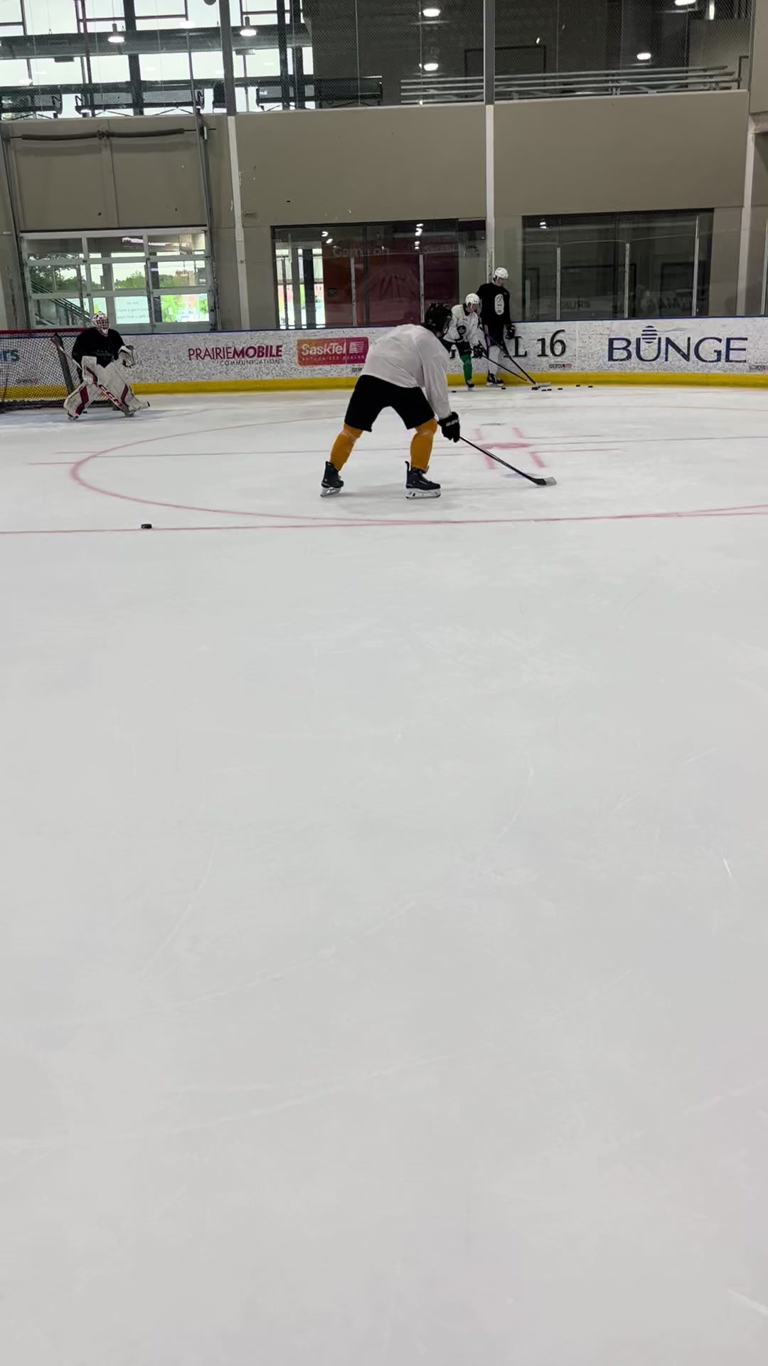 @Ts Hockey Shooting