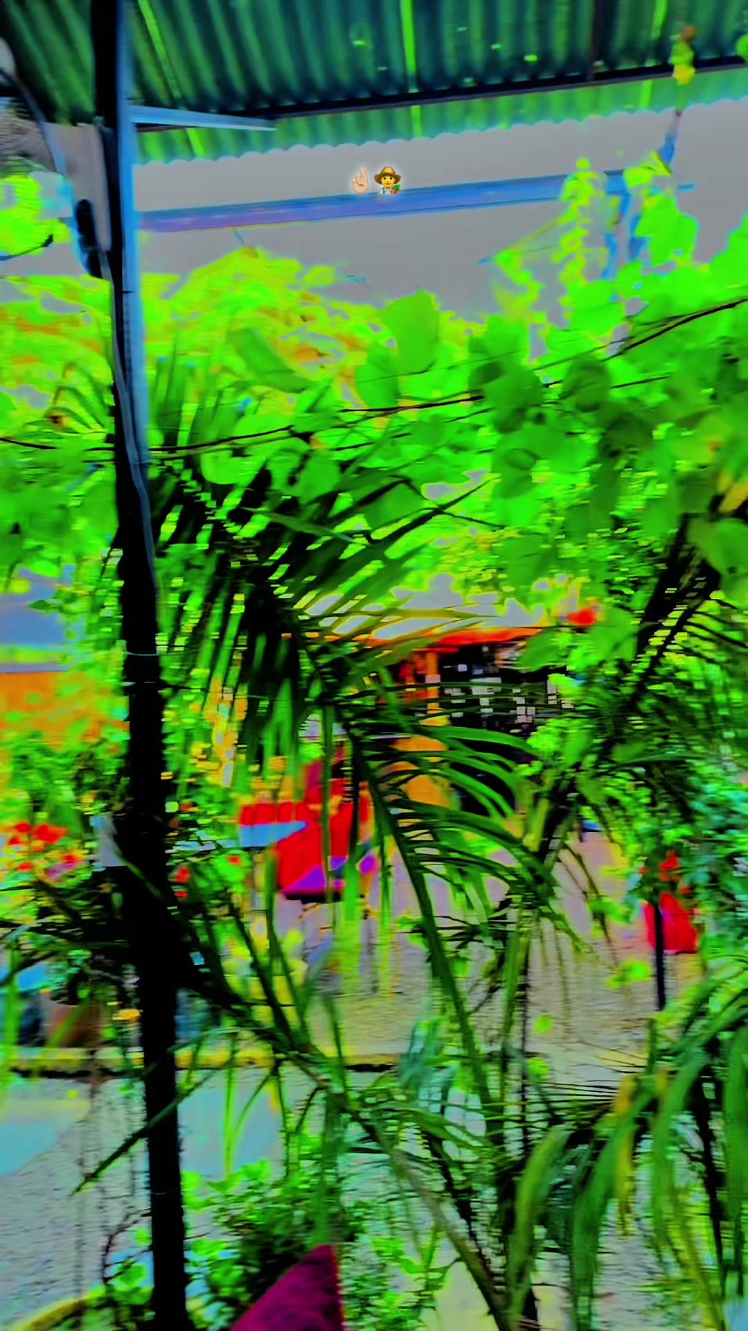 @𝕦ℝ💱𝕔ℝ𝕦𝕤𝕙