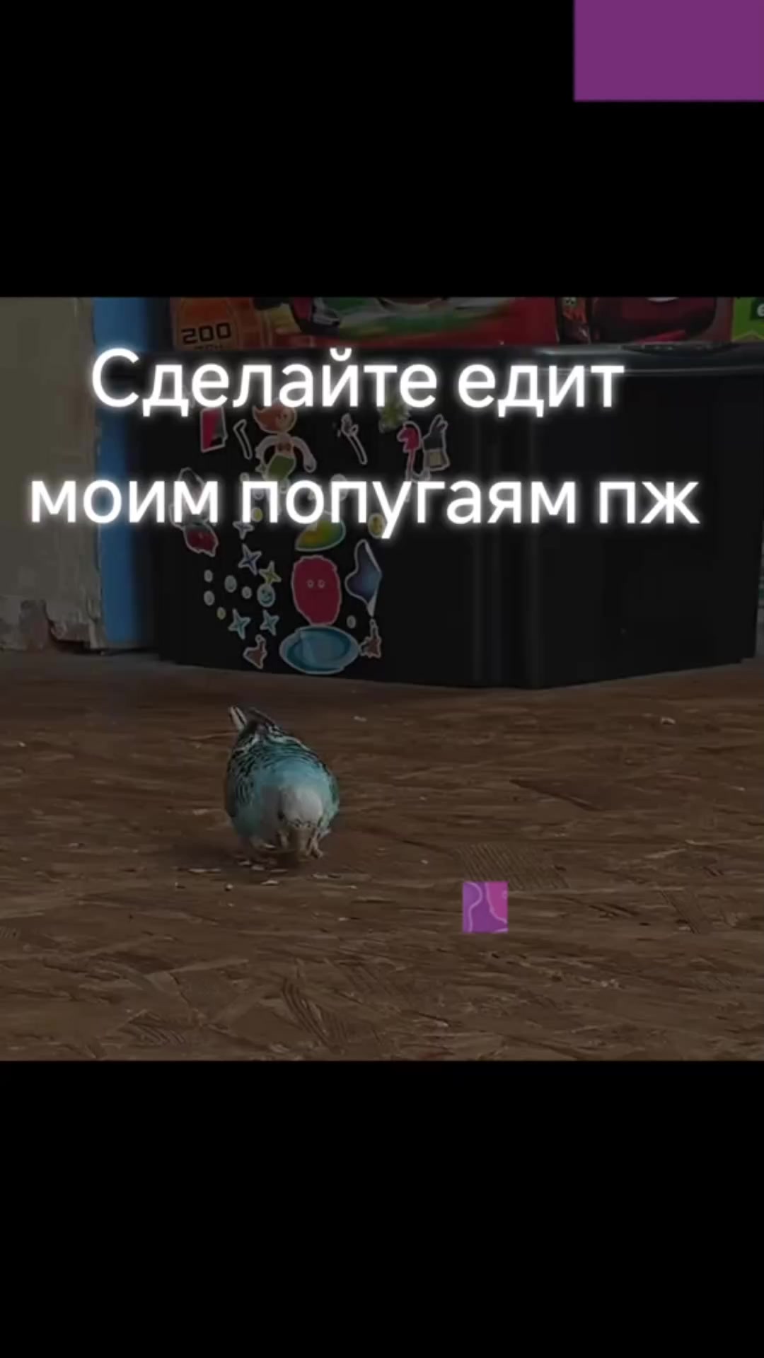 @wmena