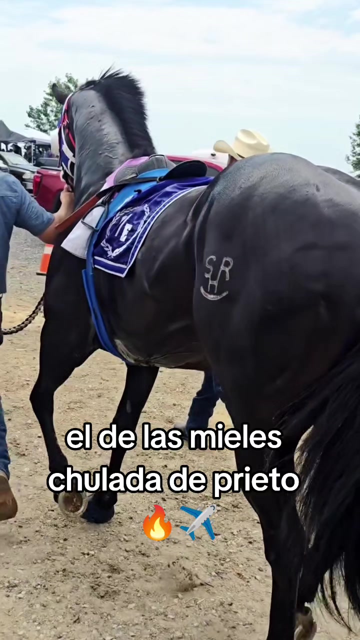 @carriles altos de jalisco🐎