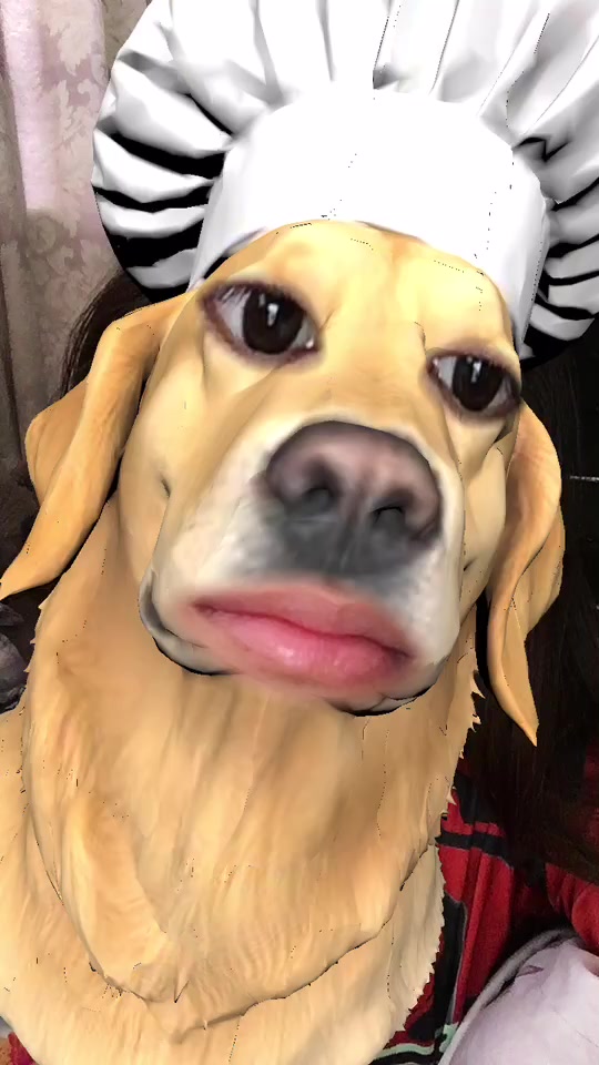 @chi.