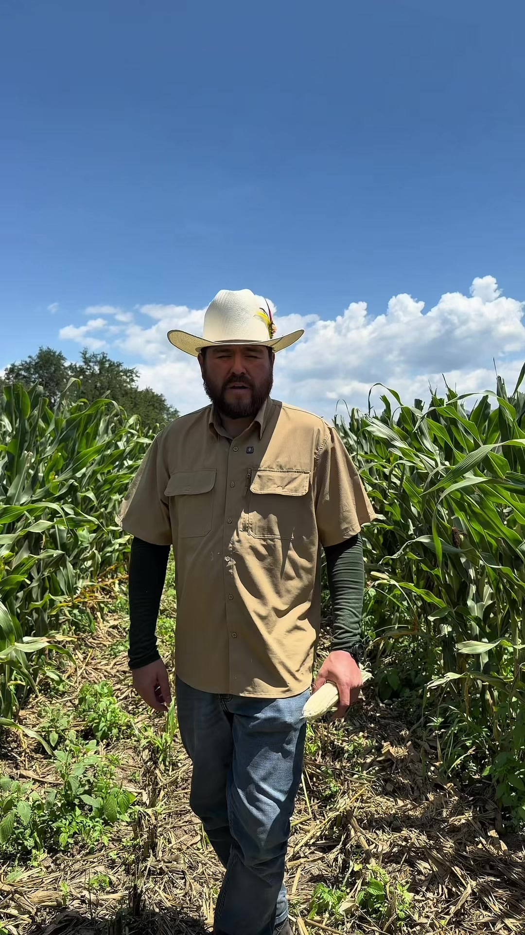@Tips y Temas Agronomicos