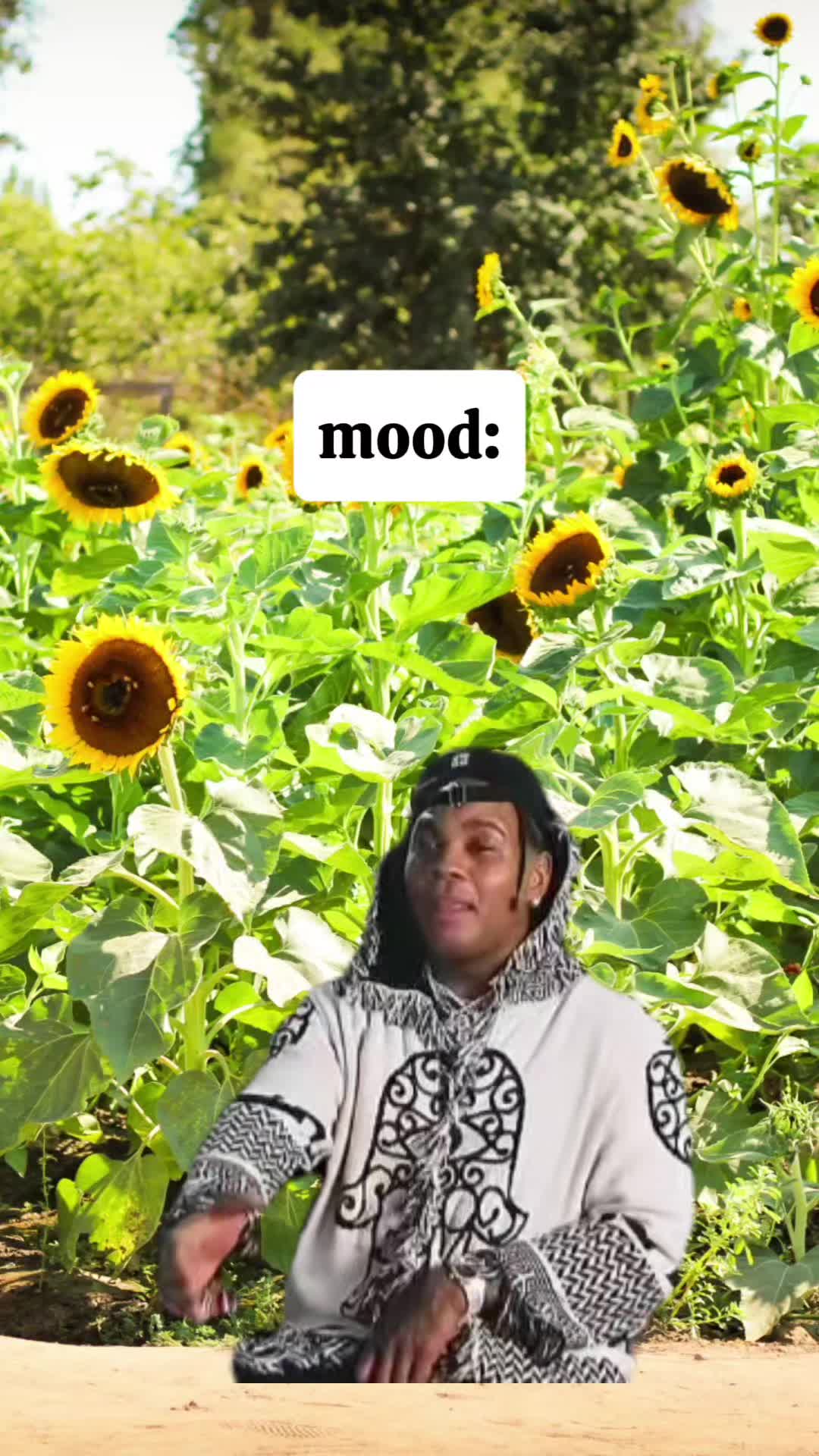 @๐๐.๐
๐๐๐๐๐ฆโจ๏ธ