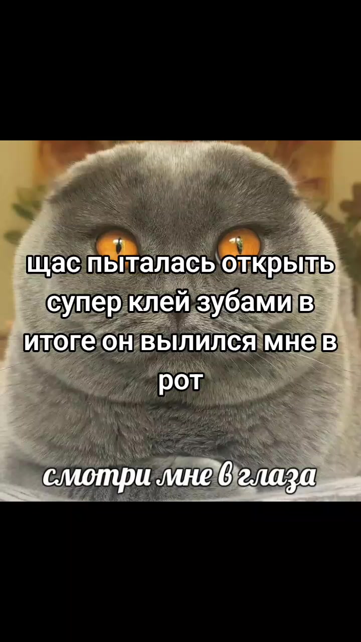@блонди, лучший человек в мире