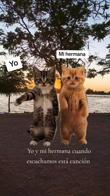 @✨Kariina✨