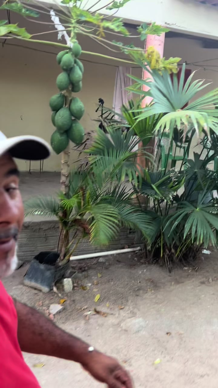 @Ad&atilde;o Oficial