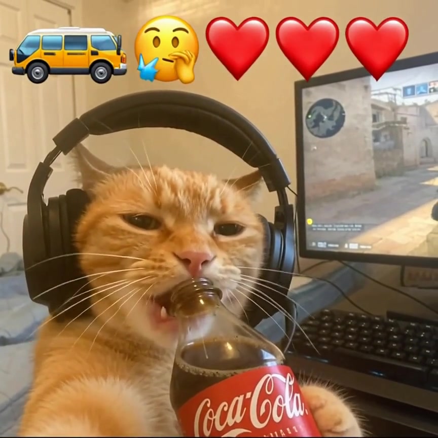 @kiwinator