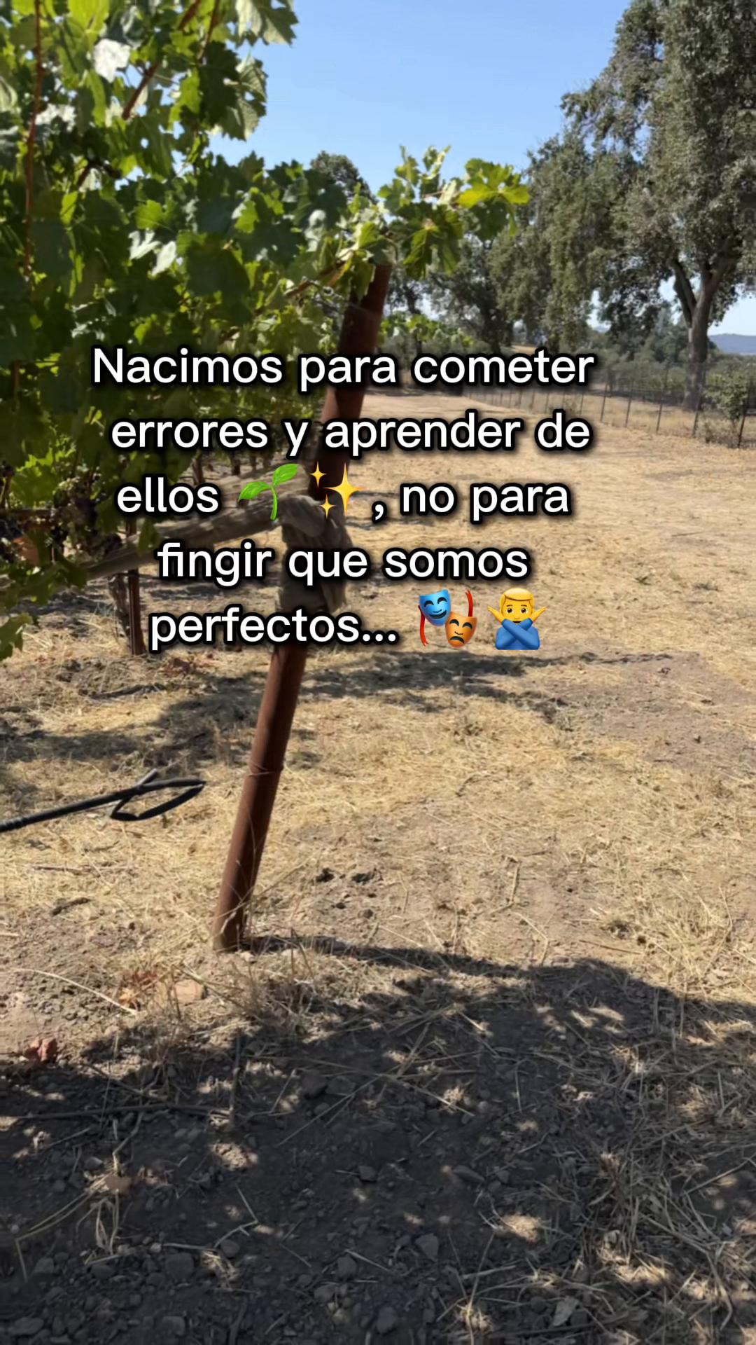 @Sandra Santiago