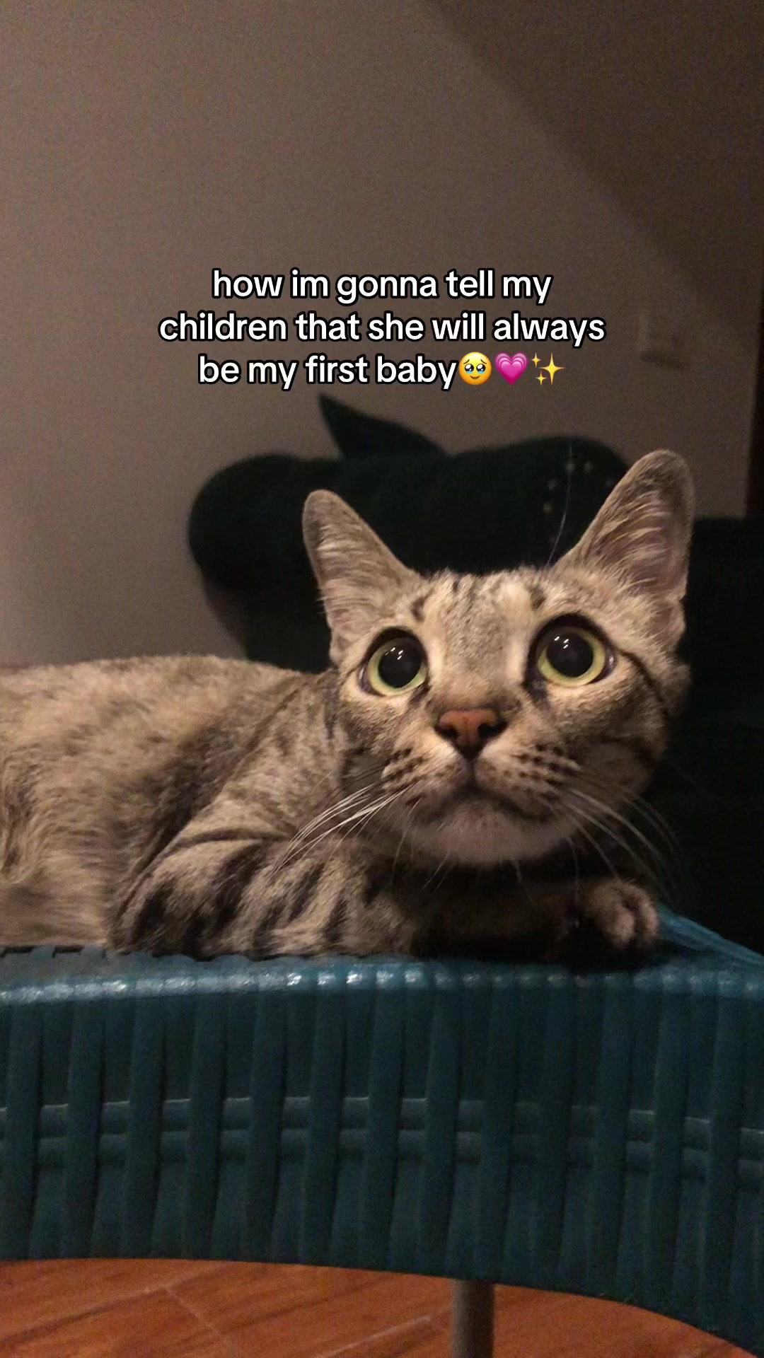 @🌙