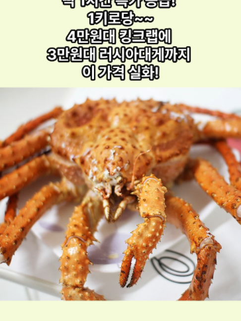@킹크랩 대게 동해수산유통