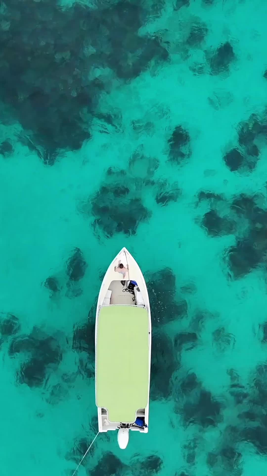 @Gumption’s Experience BVI