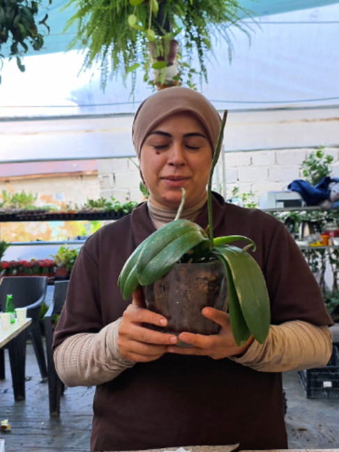 @Botanik bahçesi flora