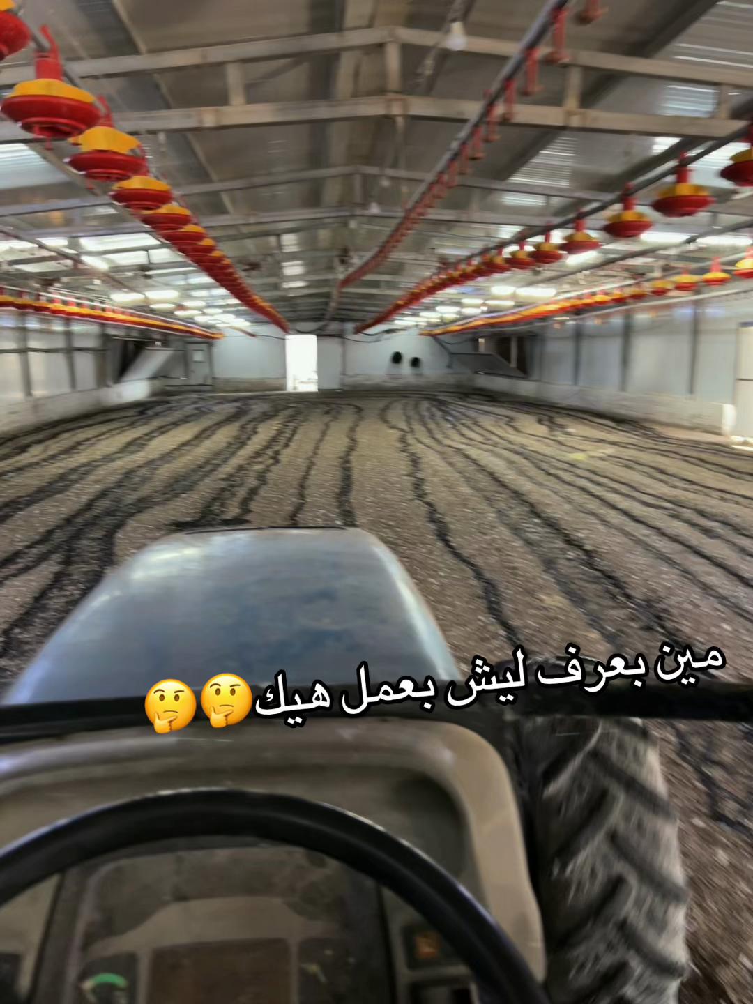 @Alaa_M_Qalalweh