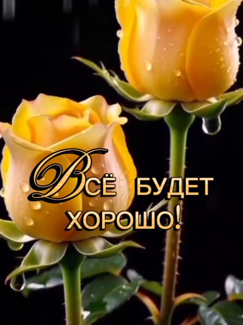@꧁࿇♥𝓢𝓿𝓮𝓽𝓵𝓪𝓷𝓪꧁♥࿇꧂