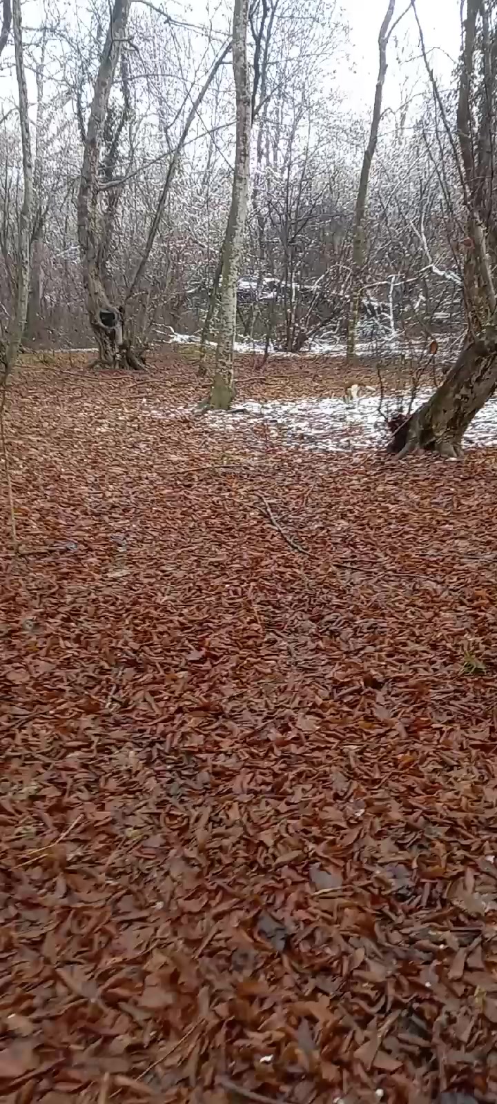 @Bez4712